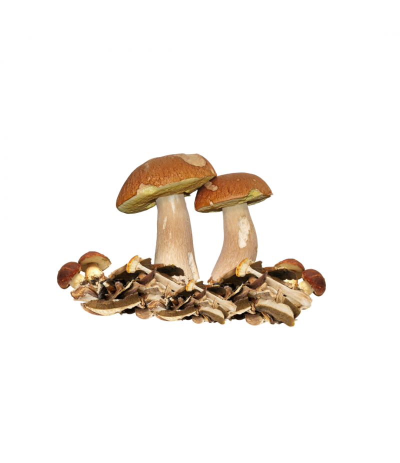 Seta Boletus Deshidratado Grs