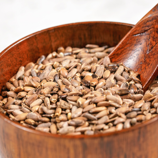 Semilla de Cardo Mariano